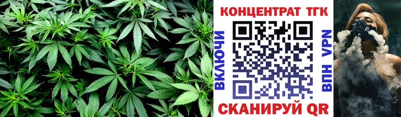 кракен как зайти  закладки  Инза  ТГК концентрат 